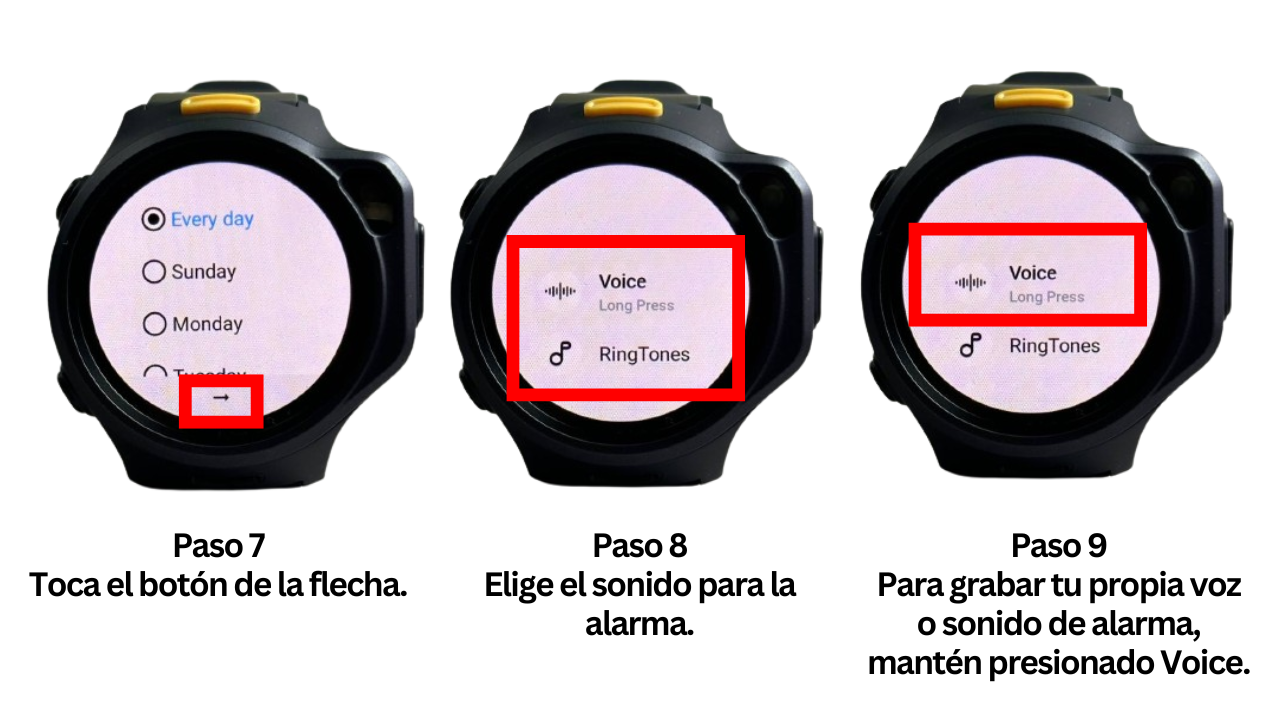 Alarm (3).png