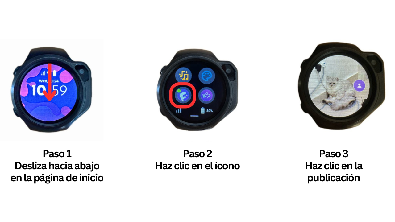 MYFIRST CIRCLE FEED 1 (1).png