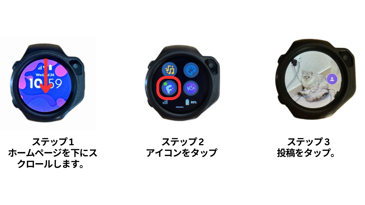 MYFIRST CIRCLE FEED jp.png