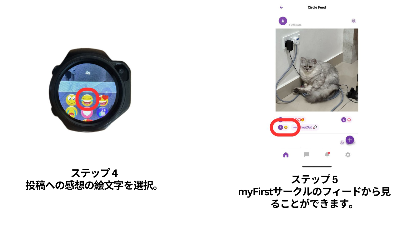 myfirst circle feed jp (1).png