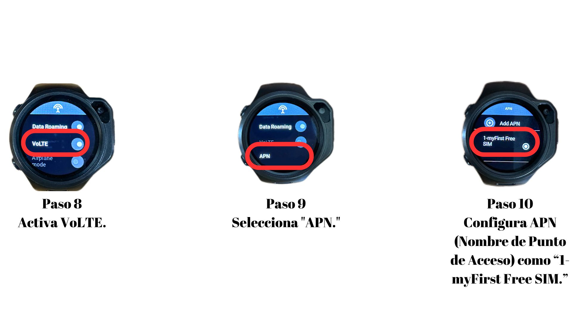 R1R1sR1c Spanish.jpg