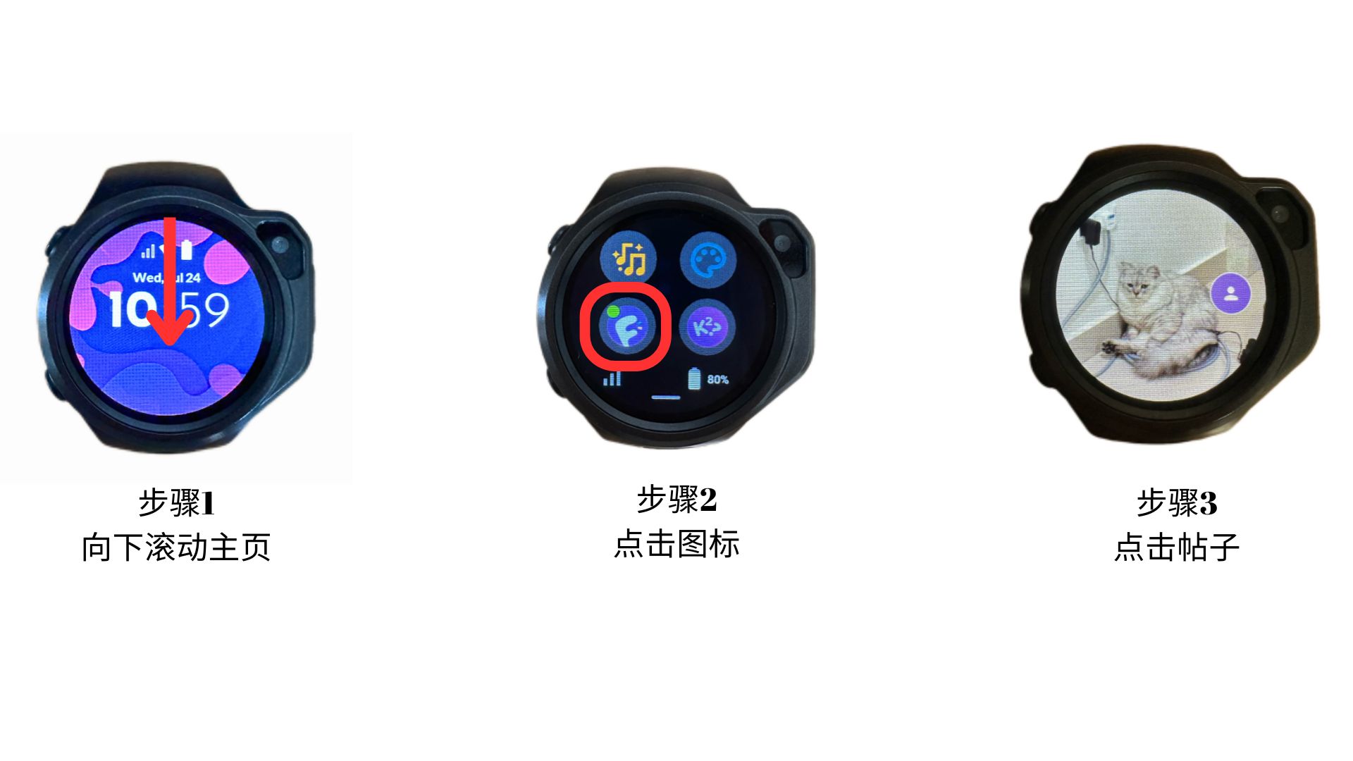 myFirst Circle Feed.jpg