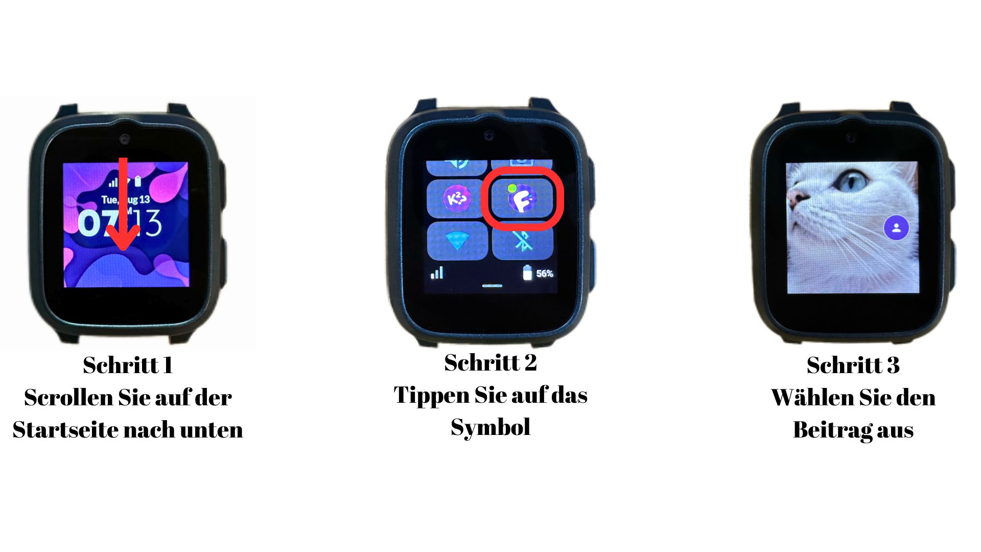 myFirst Circle Feed.jpg