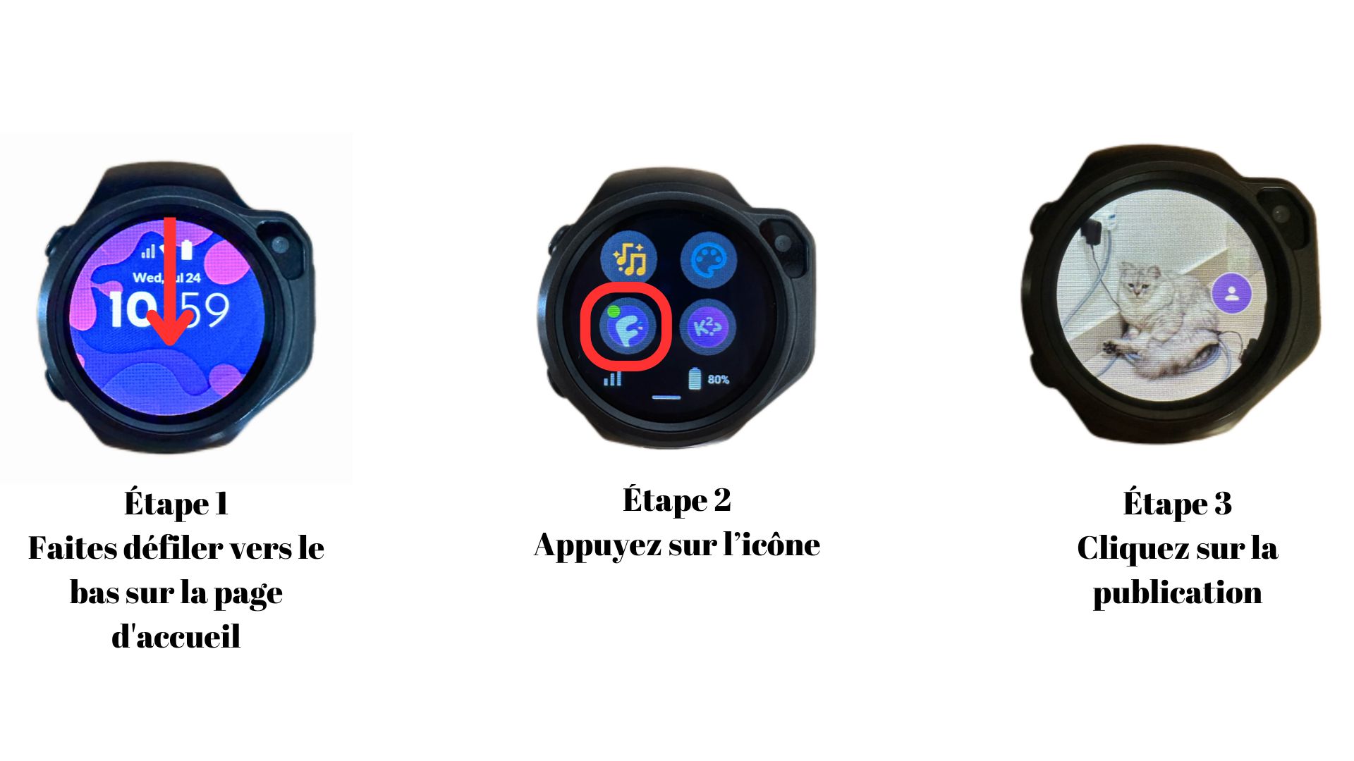 myFirst Circle Feed.jpg