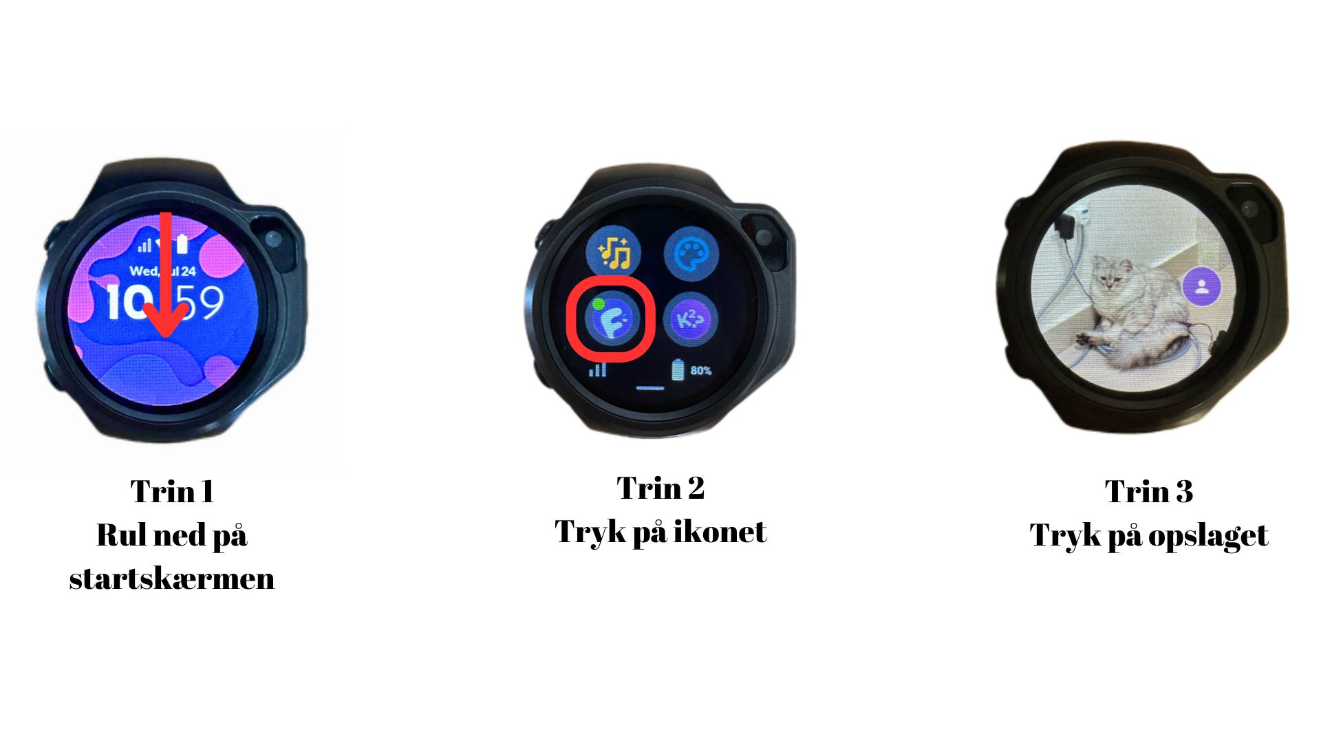 myFirst Circle Feed.jpg